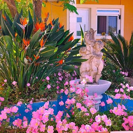 Iris Apartment Near Corfu Town Контокалі Екстер'єр фото