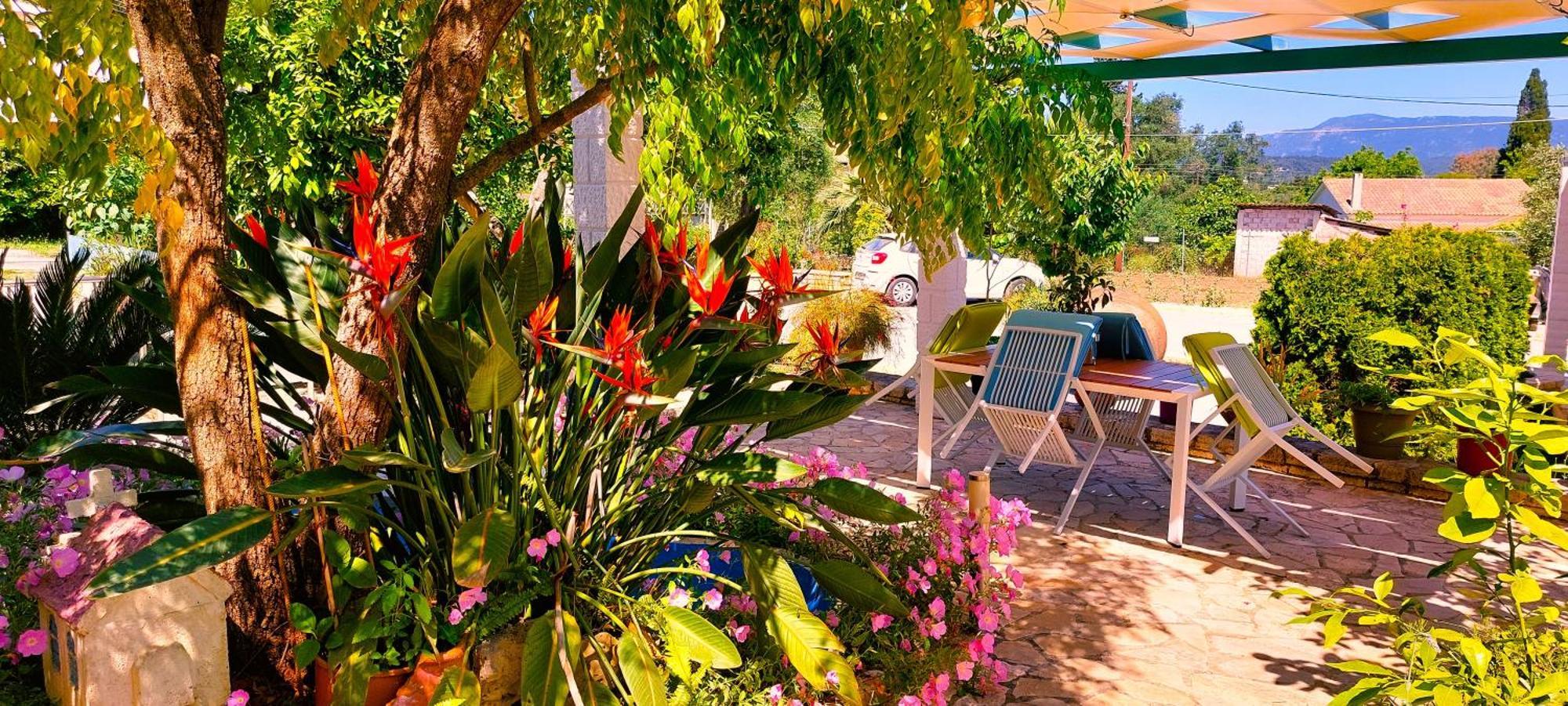 Iris Apartment Near Corfu Town Контокалі Екстер'єр фото